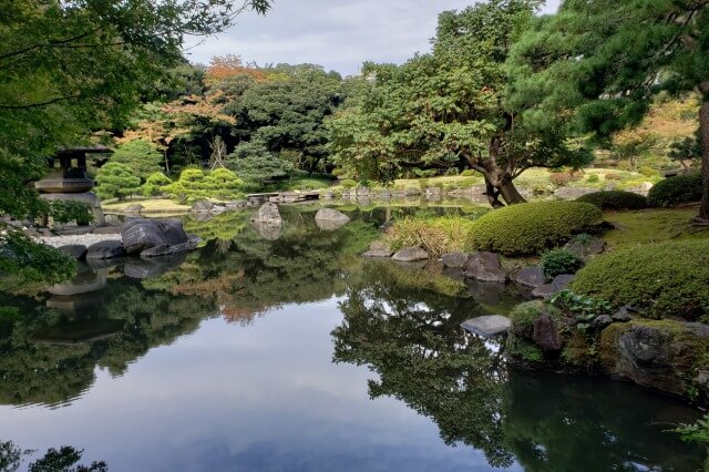 旧古河庭園の日本庭園の心字池｜池の周りを巡りながら鑑賞します