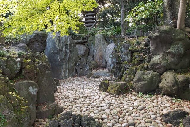 旧古河庭園の日本庭園の心字池｜池の周りを巡りながら鑑賞します