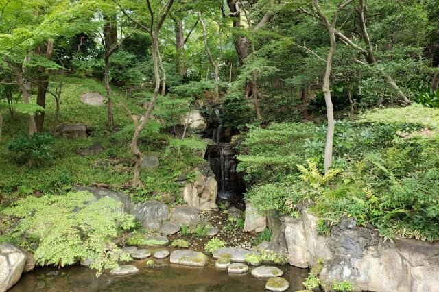 旧古河庭園の日本庭園の心字池｜池の周りを巡りながら鑑賞します