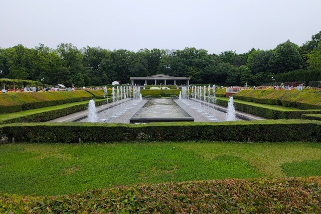 神代植物公園のバラ園