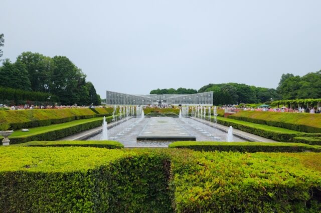 神代植物公園のバラ園