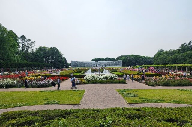 神代植物公園のバラ園テラス