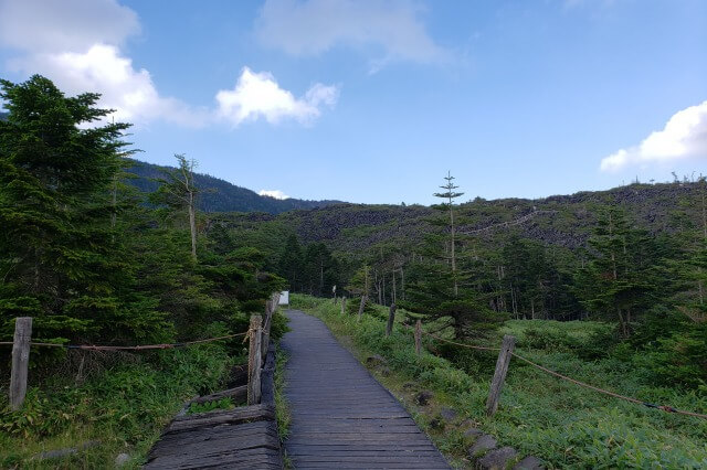 北八ヶ岳ロープウェイ｜坪庭自然園の散策