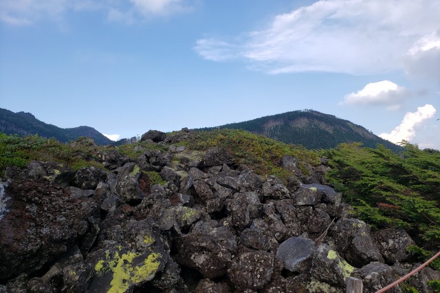 北八ヶ岳ロープウェイ｜坪庭自然園の散策