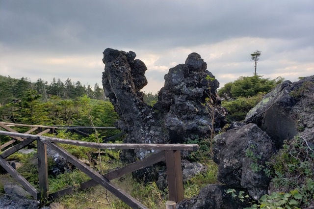 北八ヶ岳ロープウェイ｜坪庭自然園の散策