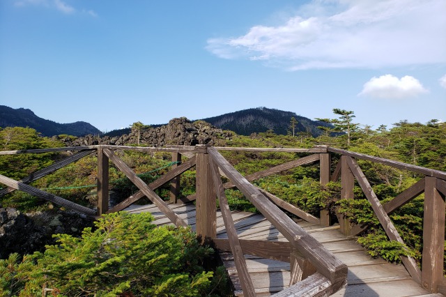 北八ヶ岳ロープウェイ｜坪庭自然園の散策