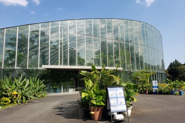 新宿御苑の大温室（植物園）