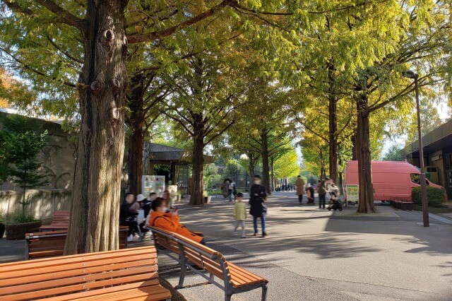 上野動物園のランチ｜食べ物の持ち込みはできるの？