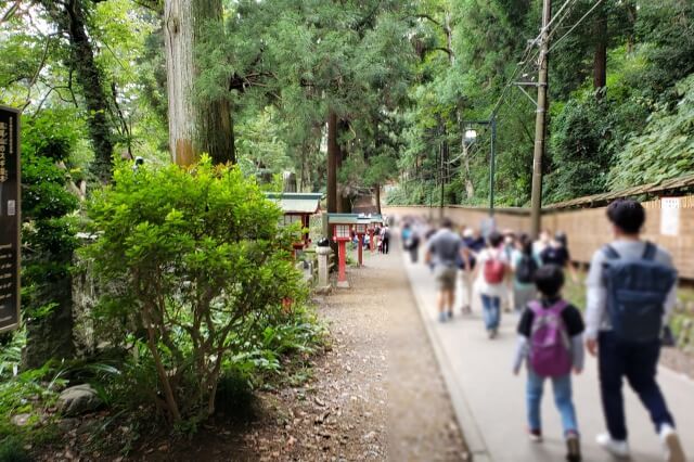 高尾山登山ルート｜初心者におすすめの登山ルートは？