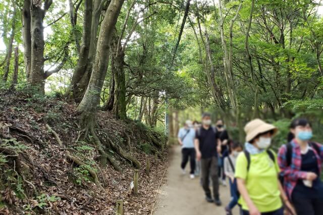 高尾山登山ルート｜１号路（表参道コース）