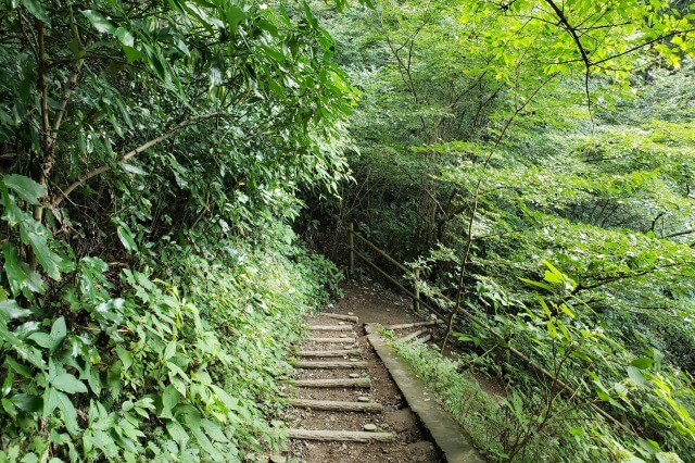 高尾山登山ルート｜４号路（吊り橋コース）