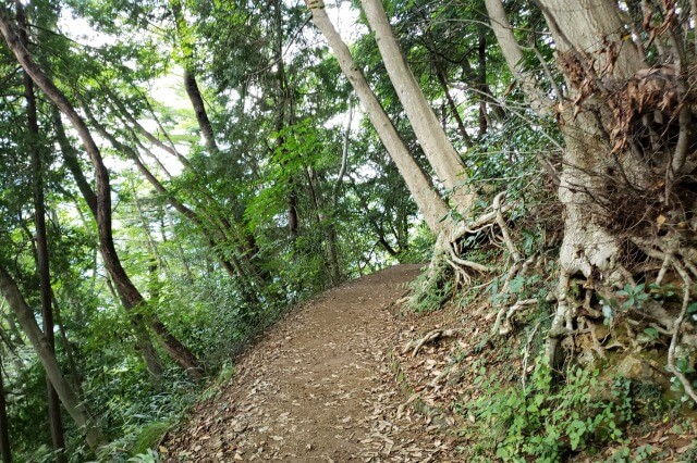 高尾山登山ルート｜４号路（吊り橋コース）