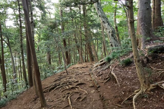 高尾山登山ルート｜４号路（吊り橋コース）