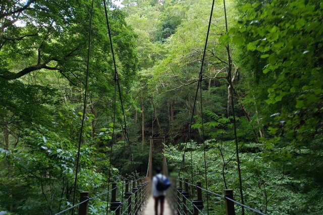 高尾山登山ルート｜４号路（吊り橋コース）