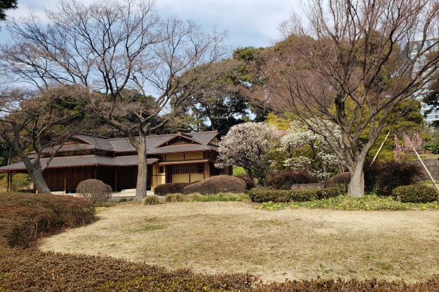 皇居東御苑の梅｜③諏訪の茶屋（冬至・初雁・月影・鴛鴦）