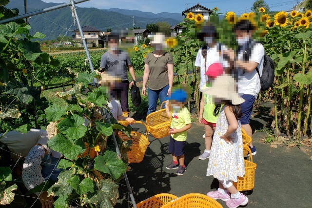 リゾナーレ八ヶ岳のアクティビティ｜夏のおひさまキッチン～高原で野菜収穫体験～