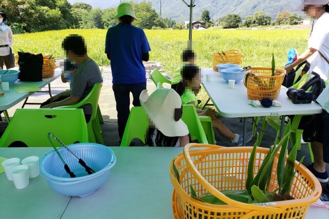 リゾナーレ八ヶ岳のアクティビティ｜夏のおひさまキッチン～高原で野菜収穫体験～