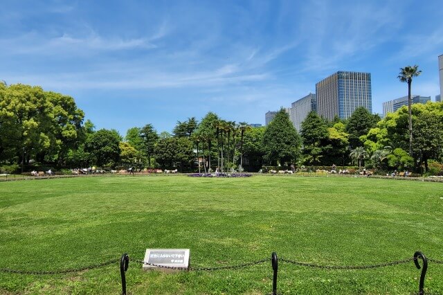 日比谷公園の第一花壇のバラ（バラ園）