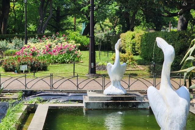 日比谷公園の第一花壇のバラ（バラ園）