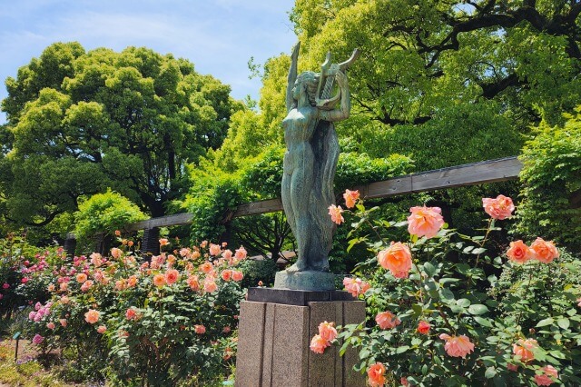 日比谷公園の第一花壇のバラ（バラ園）