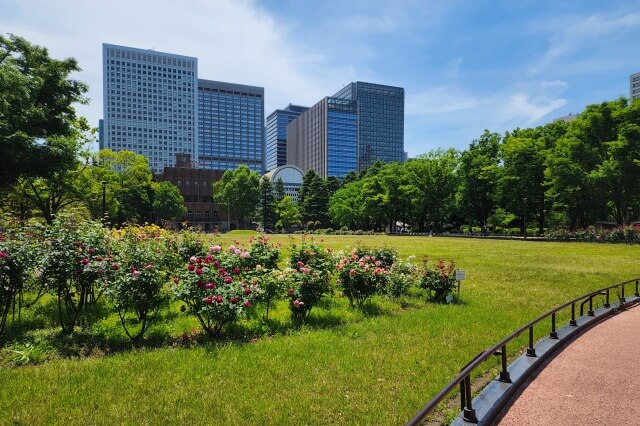 日比谷公園の第二花壇のバラ（バラ園）