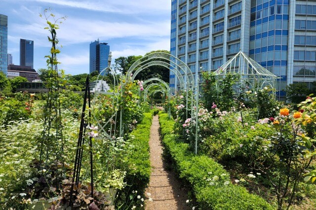 プリンス芝公園のバラ