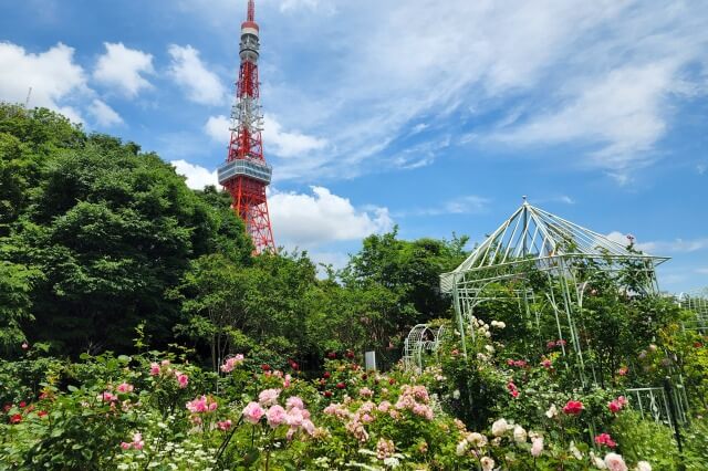 プリンス芝公園のバラ