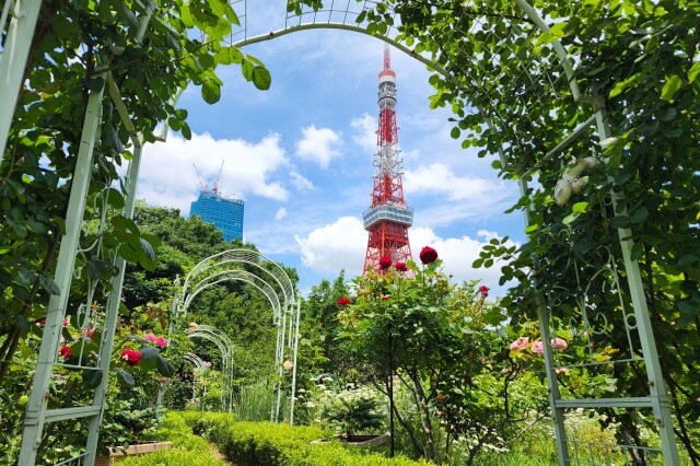 プリンス芝公園のバラ