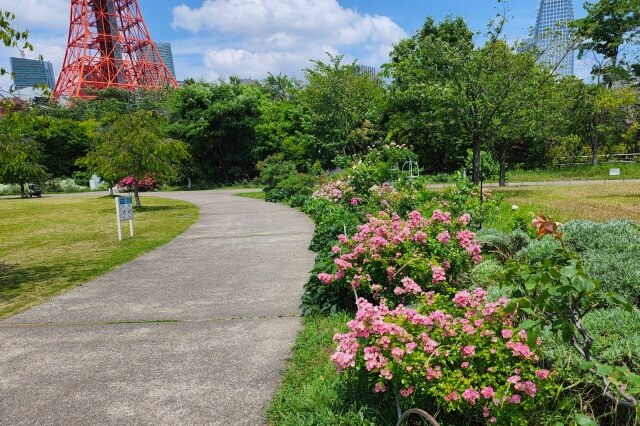 プリンス芝公園のバラ