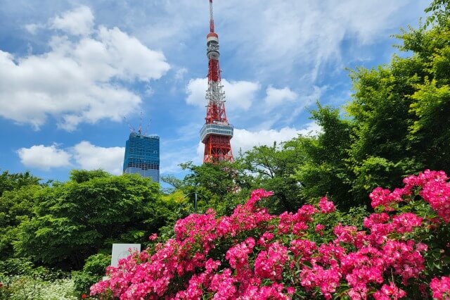 プリンス芝公園のバラ