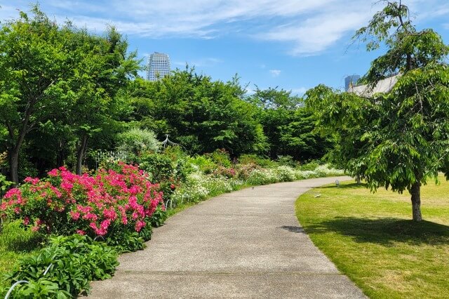 プリンス芝公園のバラ