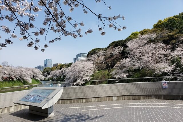 千鳥ヶ淵の桜を見るルート｜④ボート乗り場