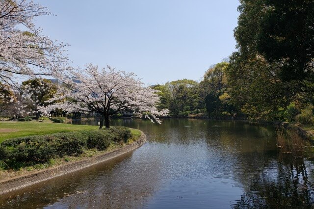 千鳥ヶ淵の桜を見るルート｜⑨北の丸公園