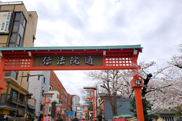 浅草の浅草寺の桜の見どころ｜雷門～仲見世通り