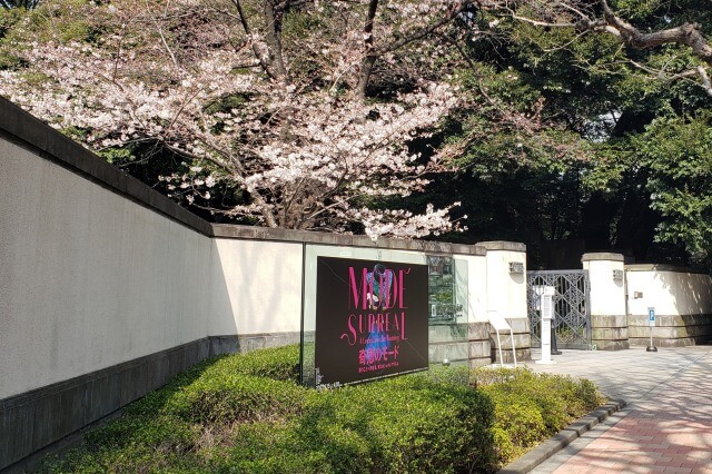 東京都庭園美術館の桜の見どころ｜入口