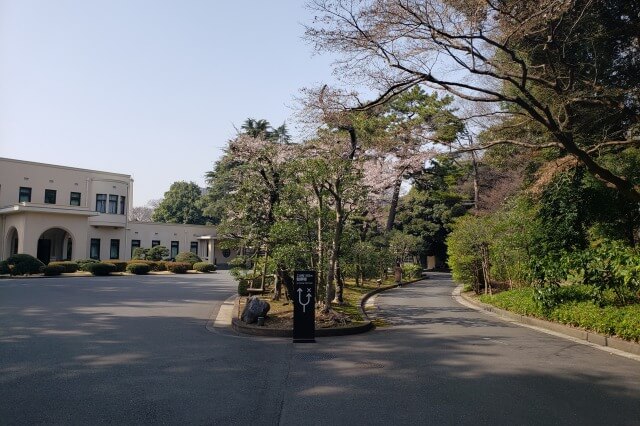 東京都庭園美術館の桜の見どころ｜美術館前