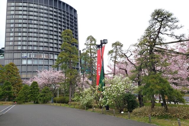 国立劇場の桜の見どころ｜国立劇場チケット売り場前