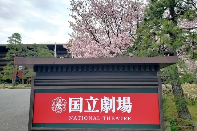 国立劇場の桜の見どころ｜国立劇場入口周辺