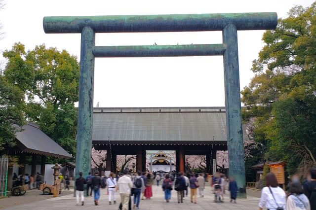 靖国神社の桜の見どころ｜中門鳥居前の広場