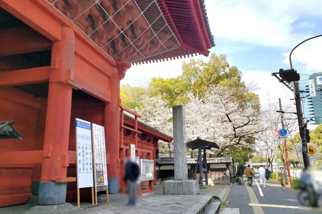 増上寺の桜の見どころ｜三解脱門（三門）