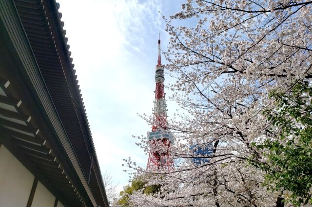 増上寺の桜の見どころ｜徳川将軍家墓所