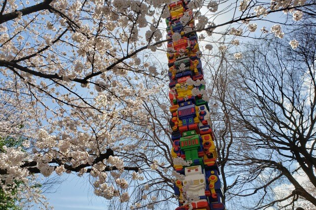 六本木ヒルズの桜の見どころ｜桜坂公園