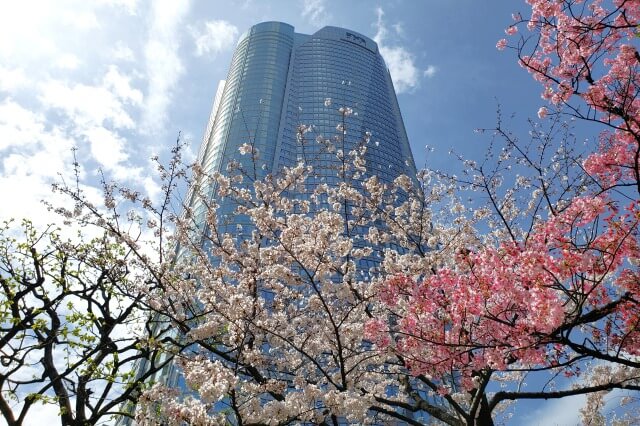 六本木ヒルズの桜の見どころ｜毛利庭園