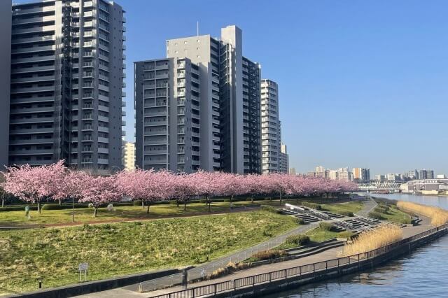 千住汐入大橋～千住大橋