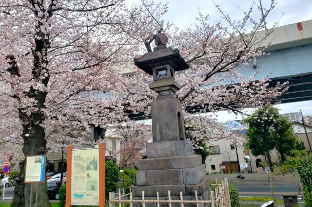 隅田公園の桜の見どころ｜墨田区立隅田公園 墨堤