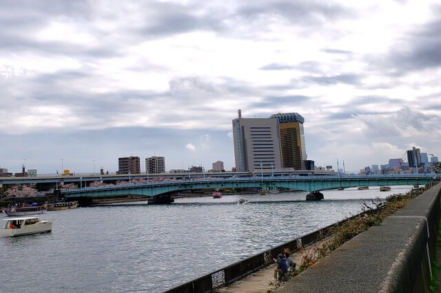 隅田公園の桜の見どころ｜言問橋