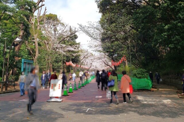 上野(恩賜)公園の桜まつりの様子｜公園入口周辺の桜