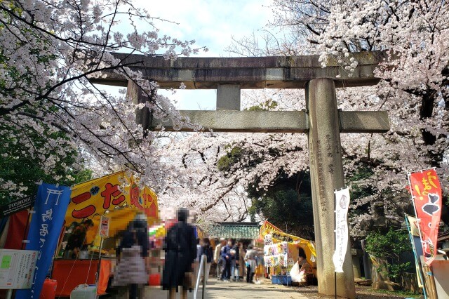 上野(恩賜)公園の桜まつりの様子｜上野東照宮周辺の桜