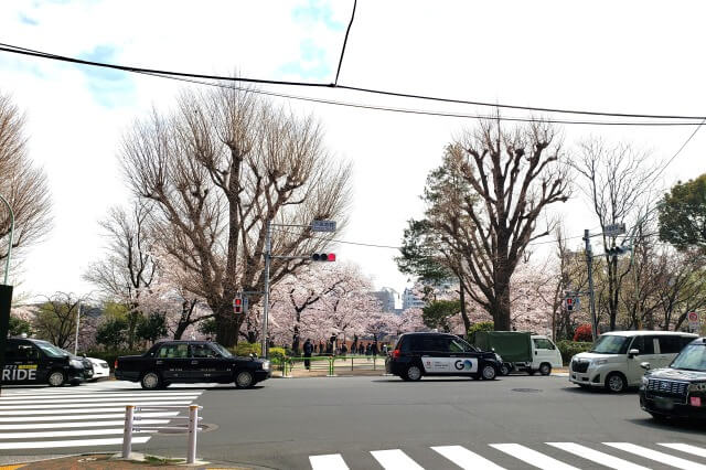 上野(恩賜)公園の桜スポットへのアクセス