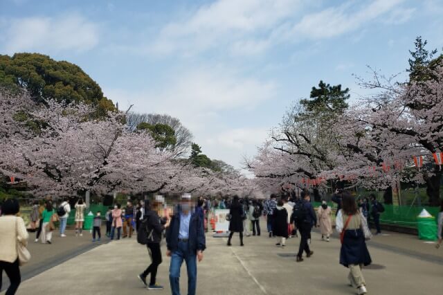 上野(恩賜)公園の桜まつり(花見)はどれくらい混雑するの？